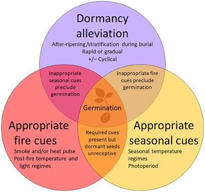 Fire Seasonality, Seasonal Temperature Cues, Dormancy Cycling, and Moisture Availability Mediate Post-fire Germination of Species With Physiological Dormancy